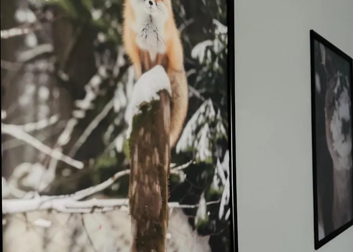 Twoje Prywatne - Jacuzzi, Sauna, Teznia Solankowa Apartment *